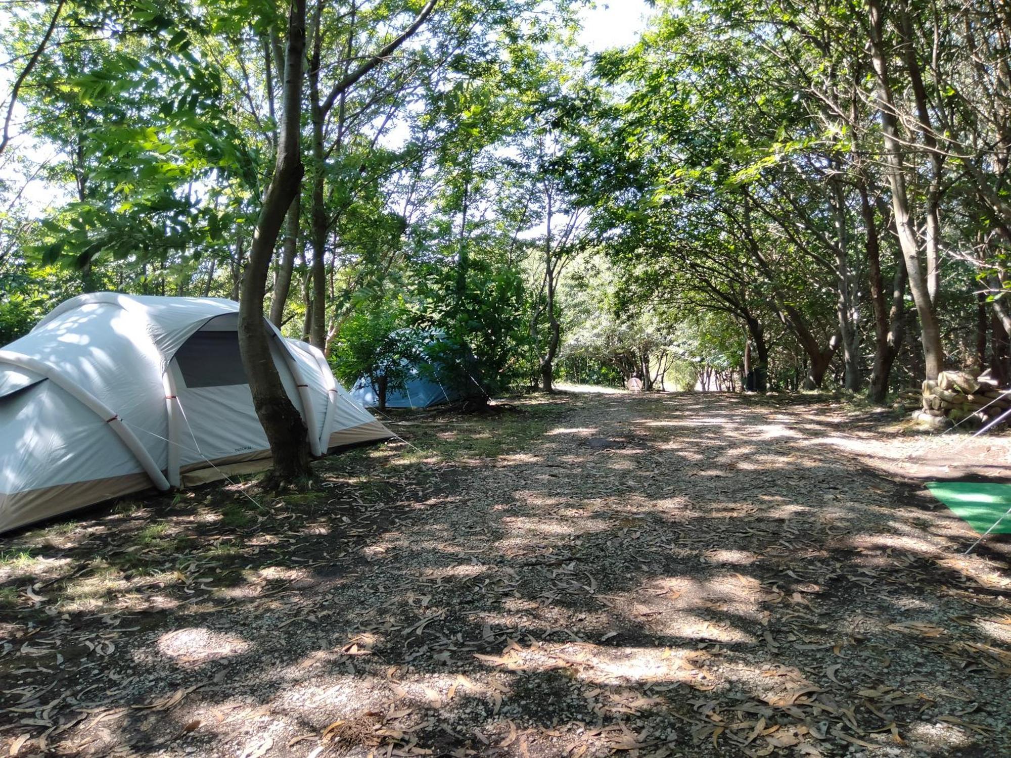 La Finca - Campamento En La Naturaleza Carranceja Extérieur photo
