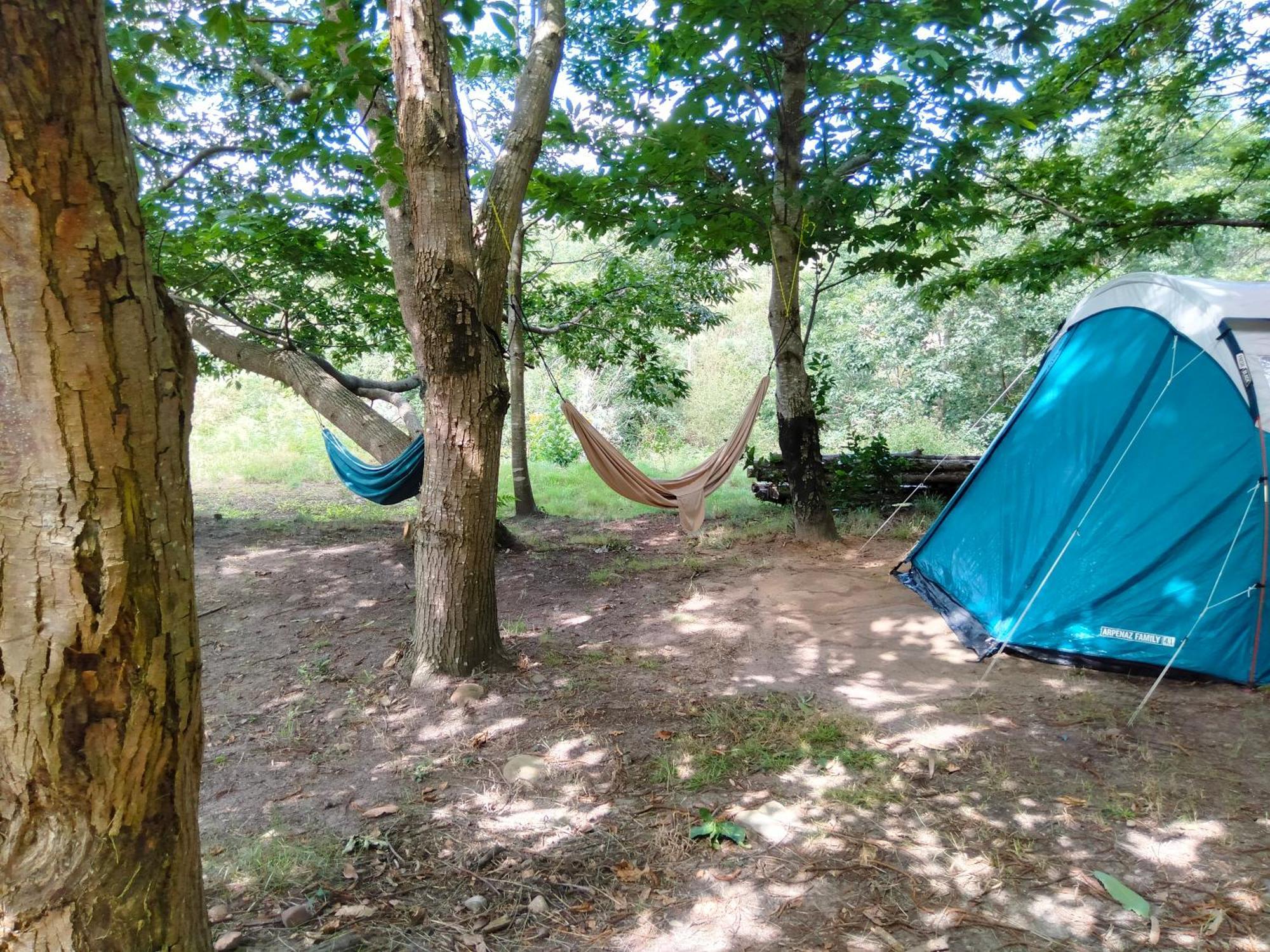 La Finca - Campamento En La Naturaleza Carranceja Chambre photo